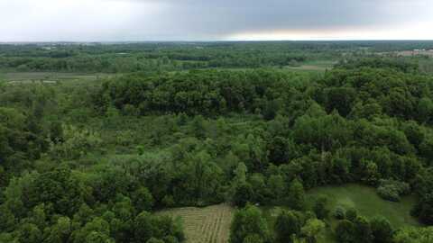 Pioneer Street, Marcellus, MI 49067