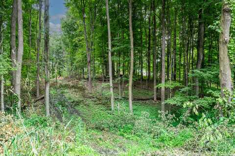 0 Dutch Settlement Street, Vandalia, MI 49095
