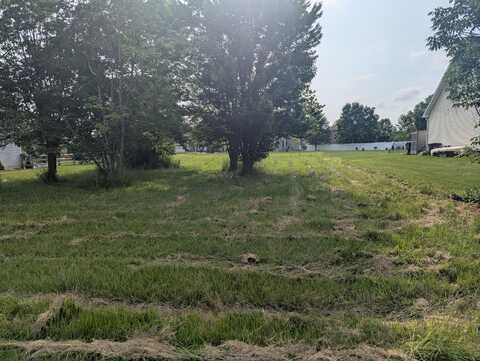 Lot 161 Wadding Drive, Onsted, MI 49265