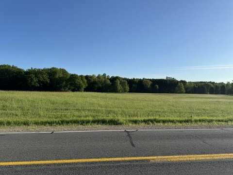 12828 Buchanan Road, Stanwood, MI 49346