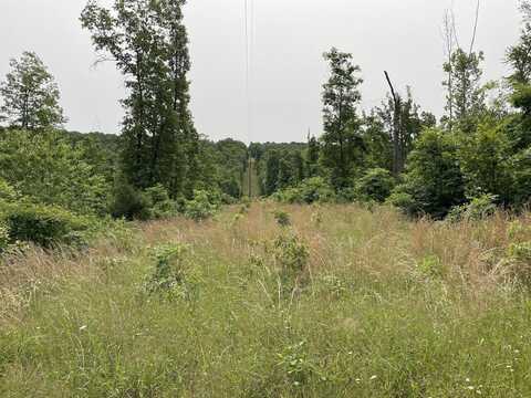 0000 Highway Pp, Cabool, MO 65689