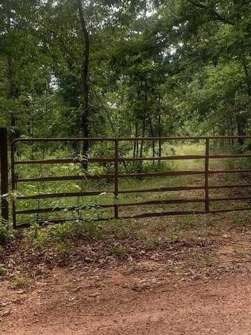 000 County 76-251 Road, Vanzant, MO 65768