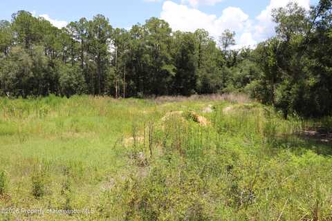 BEDSTONE Drive, Webster, FL 33597