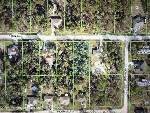 Robin Avenue, Weeki Wachee, FL 34614
