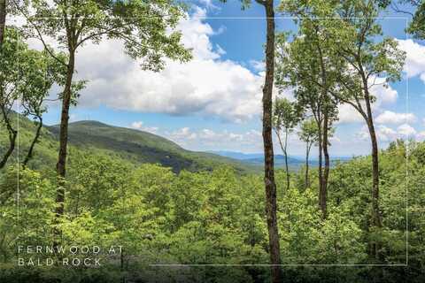 80 Frond Court, Sapphire, NC 28774