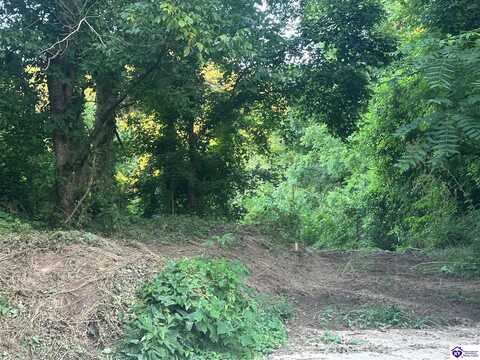 0 Highway 49, Bradfordsville, KY 40009