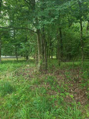 5036 DIXIE, Hot Springs, AR 71913