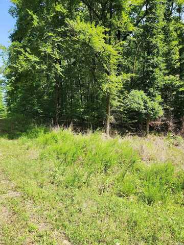 28A EDGEMONT, Hot Springs, AR 71913