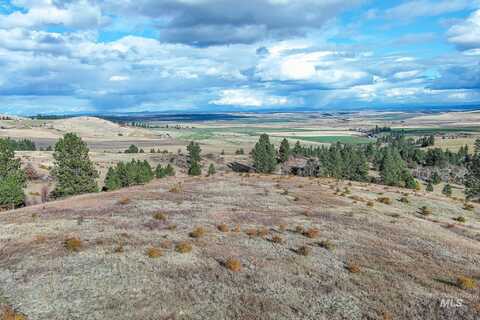 Tbd Over Yonder Road, CottonWood, ID 83522