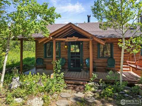 84 County Road 113 S, Allenspark, CO 80510