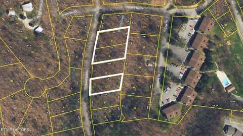 Lot 3,5,6 Swan Saddle Road, Sevierville, TN 37876