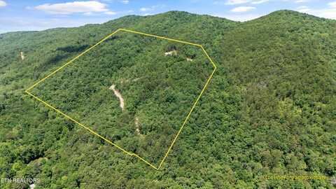 216 Old Cove Rd, Walland, TN 37886