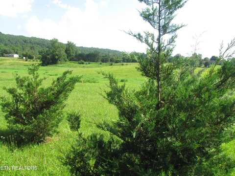 Edgewood Drive, Sweetwater, TN 37874