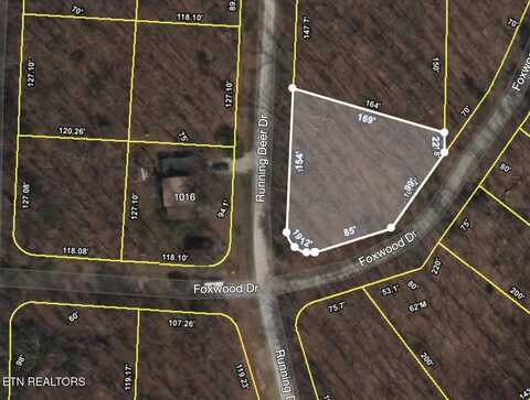 Running Deer, Crab Orchard, TN 37723