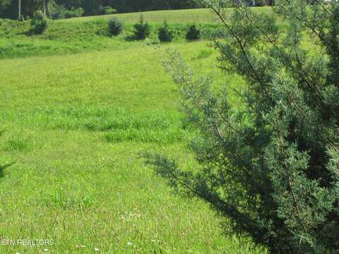Edgewood Drive, Sweetwater, TN 37874