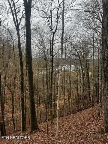 Lot 743 Russell Brothers Rd, Sharps Chapel, TN 37866