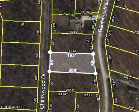 Running Deer, Crab Orchard, TN 37723