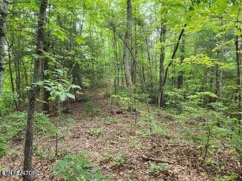Pea Hollow Rd, Sevierville, TN 37876
