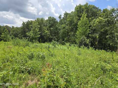230 Wells Rd, Powell, TN 37849