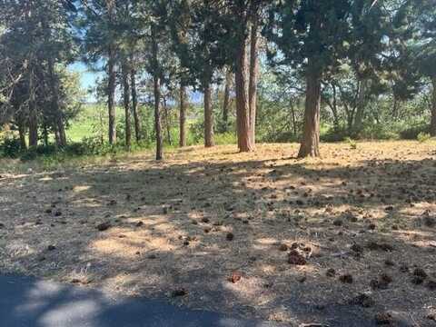 Kestrel Road, Klamath Falls, OR 97601
