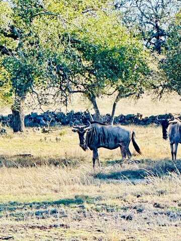 Lot 106 Oryx View Dr, Harper, TX 78631
