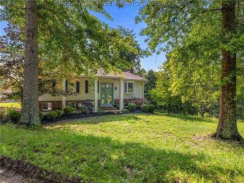 564 Bowles Dodson Road, Red House, WV 25168