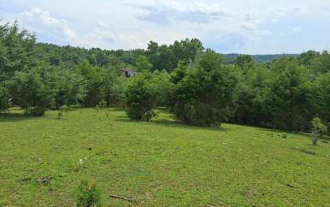 Buford Rd., Bybee, TN 37713