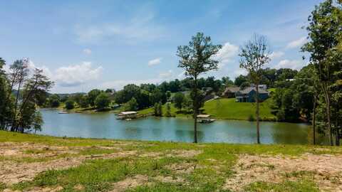 845 Harrison Ferry Road, White Pine, TN 37890