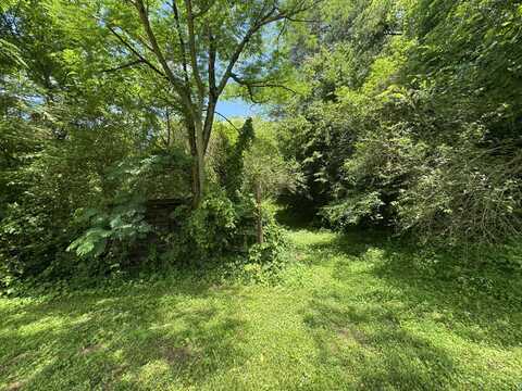 Bogard Road, Cosby, TN 37722