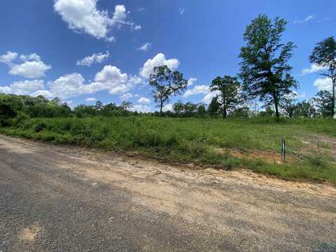 Tbd Verbena Rd, Ore City, TX 75683
