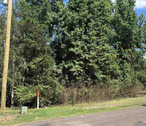 CR 2600, Pittsburg, TX 75686