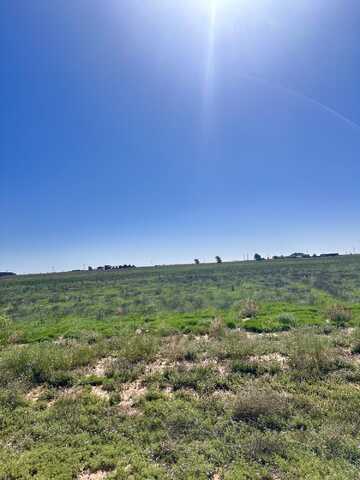 0 Private Road, Levelland, TX 79336