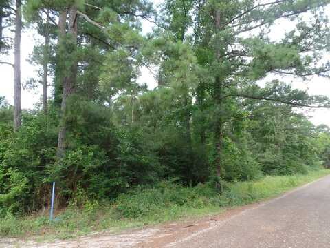 340 CR 2650, Shelbyville, TX 75973