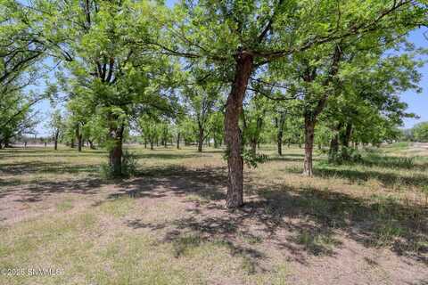 3000 Calle De Guadalupe, Mesilla, NM 88046