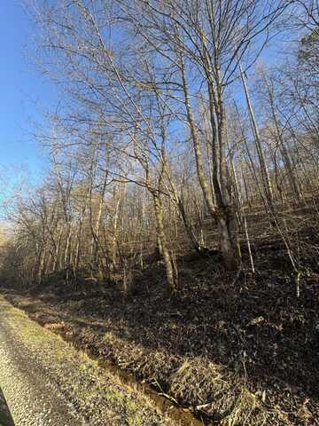 9999 Crawfish Road, Manchester, KY 40962
