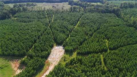 0 BERRY LANE, DADEVILLE, AL 36853