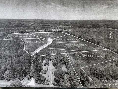 0 BERRY LANE, DADEVILLE, AL 36853