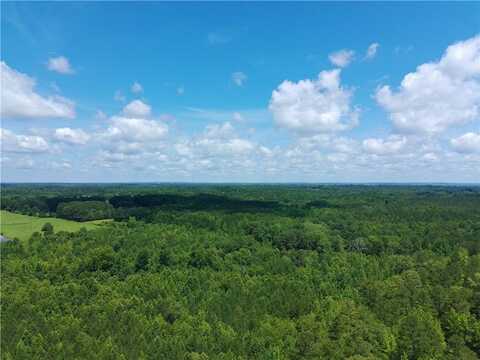 1 COUNTY ROAD 241, ROANOKE, AL 36274