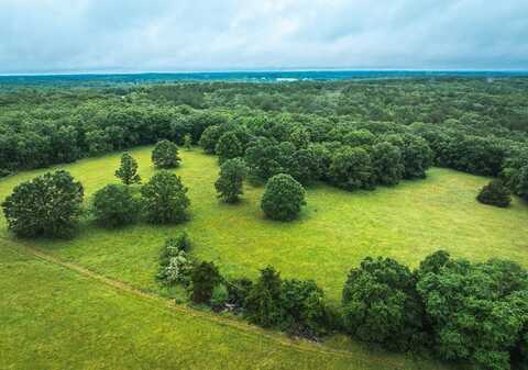 14225 S Highway 68, Saint James, MO 65559