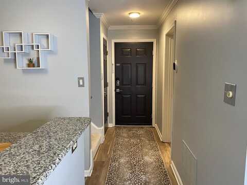 8 TYLER FALLS CT #C, BALTIMORE, MD 21209