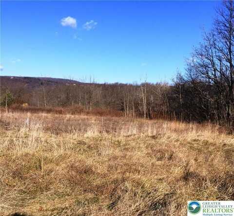 E Blakeslee Boulevard, Mahoning Twp, PA 18235