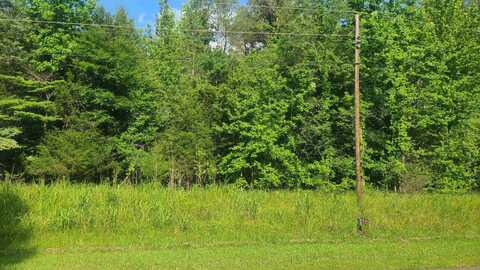 487 FAIRWAY, Saulsbury, TN 38067