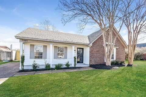 7881 COLLINS WOOD, Unincorporated, TN 38125