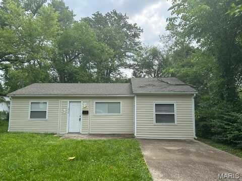 10140 Earl Drive, Saint Louis, MO 63136