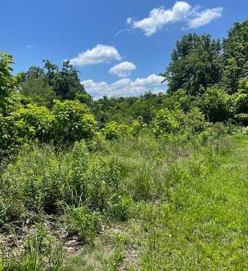 0 S Third Street, Owensville, MO 65066