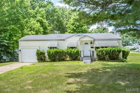 10327 Ashbrook Drive, Saint Louis, MO 63137