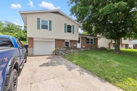 228 S Shawnee Boulevard, Jackson, MO 63755