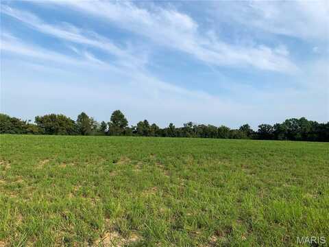 0 Lot 8 Springview Estates Dr., Marthasville, MO 63357