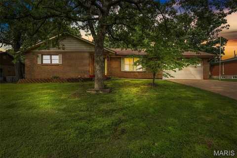 314 Mont Divier Drive, Bonne Terre, MO 63628