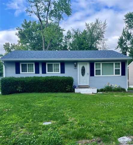 1165 June Avenue, Saint Louis, MO 63138